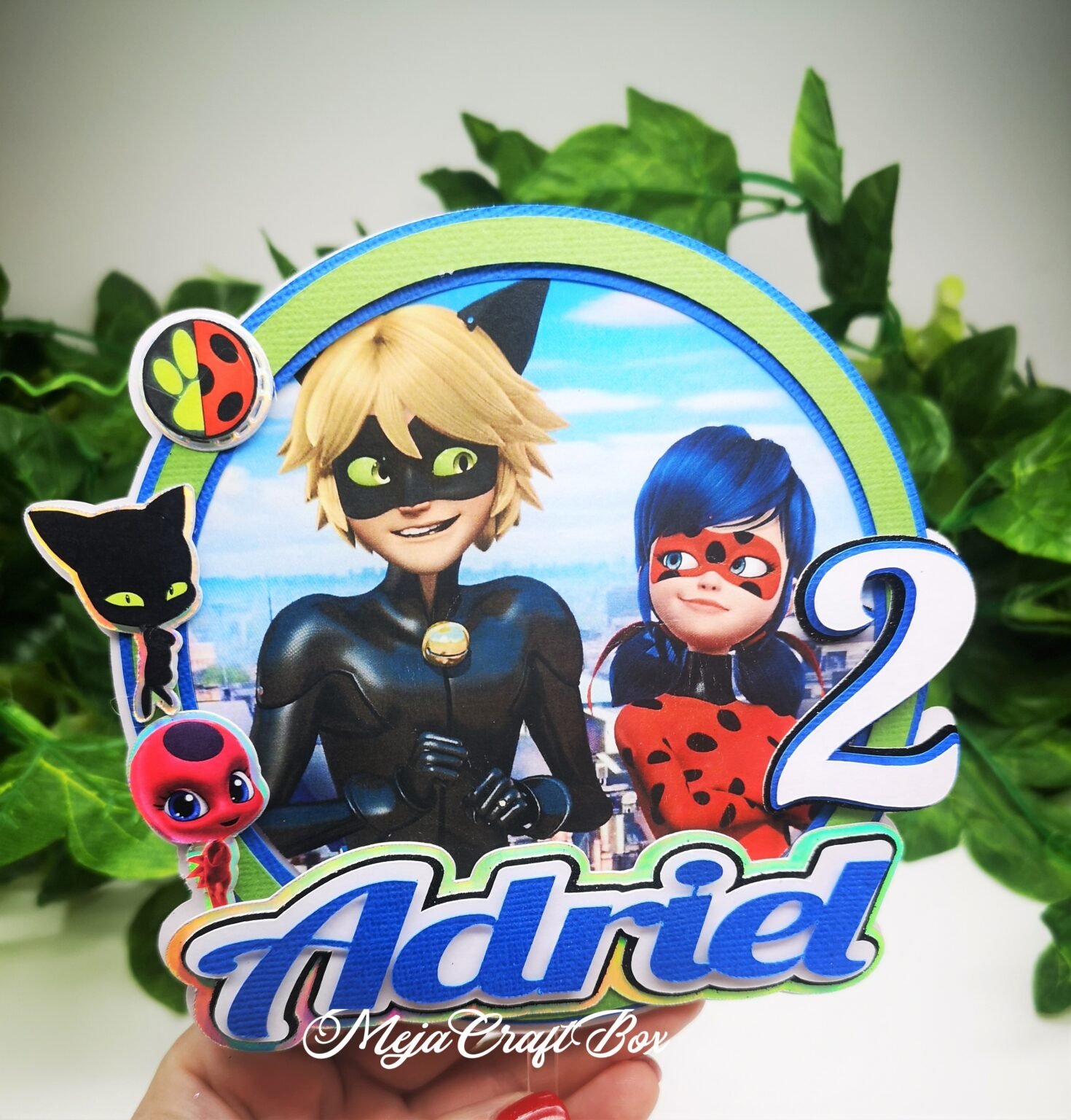 Ladybug & Cat Noir inspired cake topper